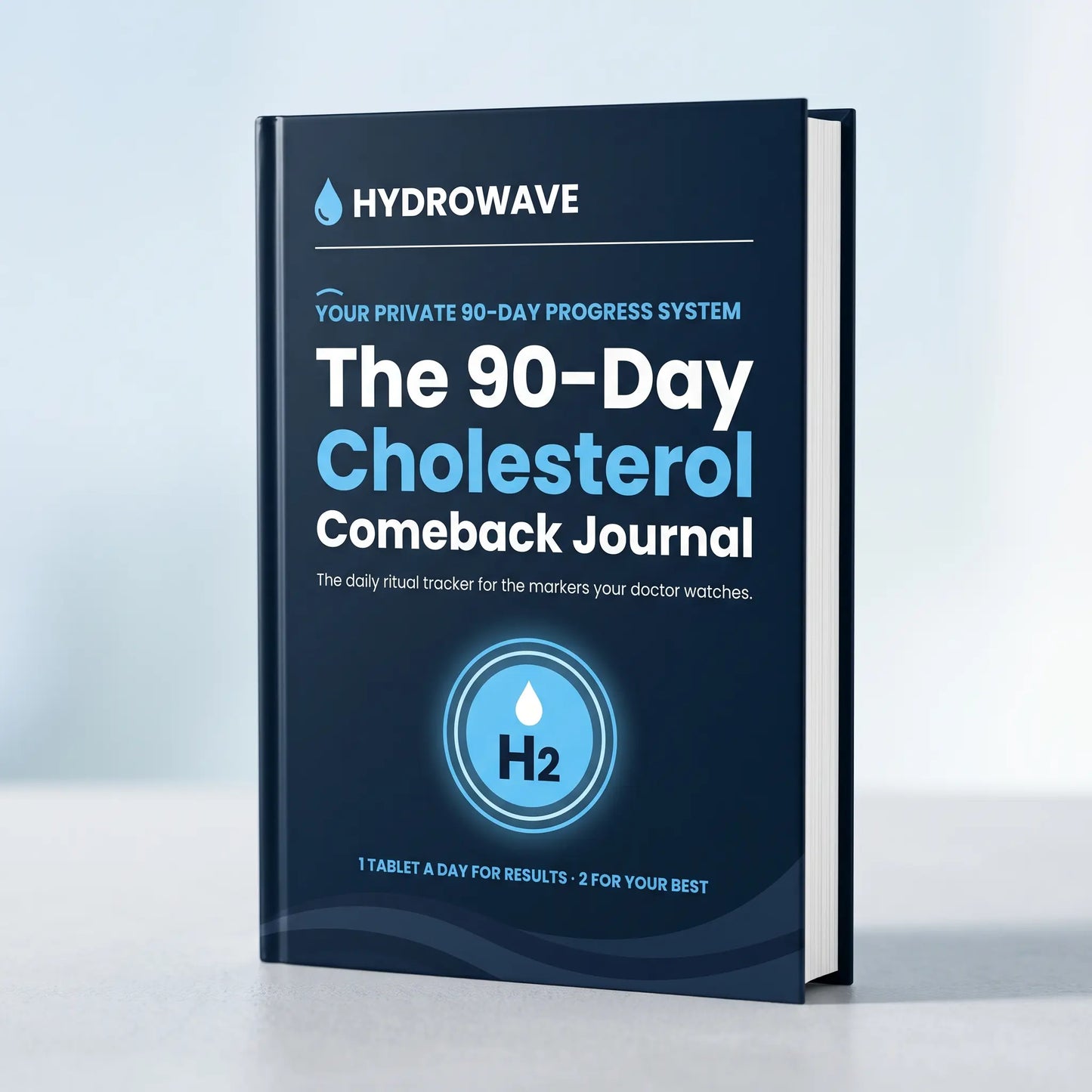 The 90 Day Cholesterol Comeback Journal